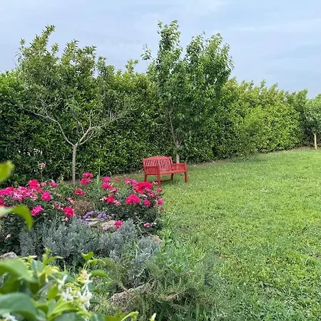 Casa 22 Paestum Holiday home *